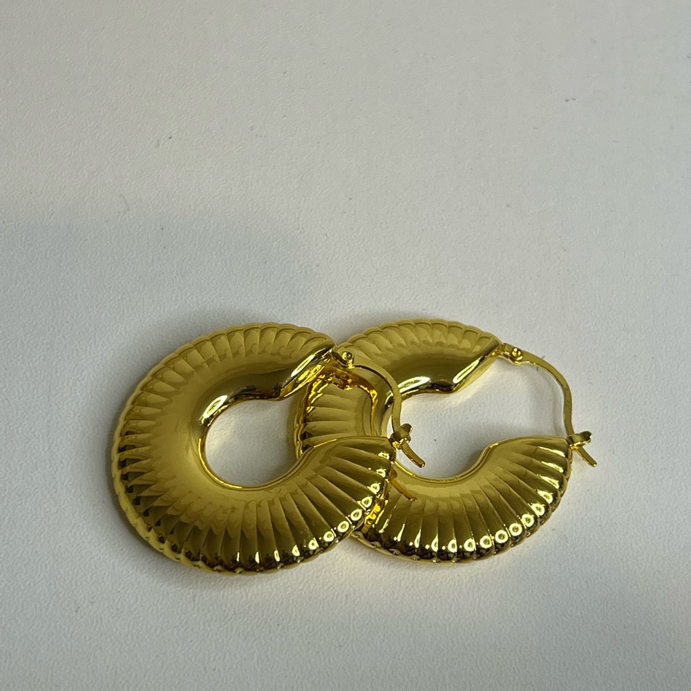Elegant Gold Hoop Earrings